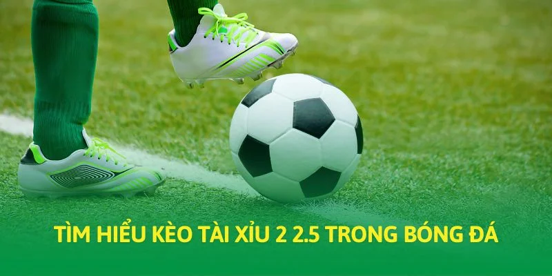 Tìm hiểu kèo tài xỉu 2 2.5 trong bóng đá
